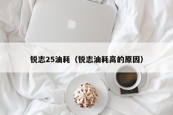 锐志25油耗（锐志油耗高的原因）