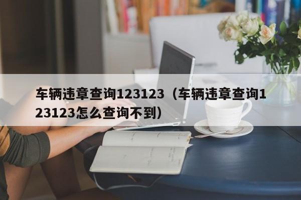 车辆违章查询123123（车辆违章查询123123怎么查询不到）