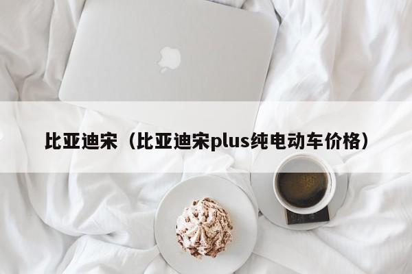 比亚迪宋（比亚迪宋plus纯电动车价格）