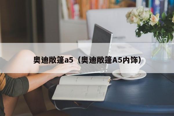 奥迪敞篷a5（奥迪敞篷A5内饰）