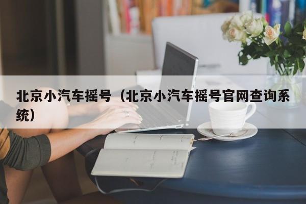 北京小汽车摇号（北京小汽车摇号官网查询系统）