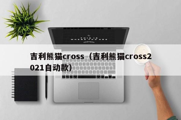 吉利熊猫cross（吉利熊猫cross2021自动款）