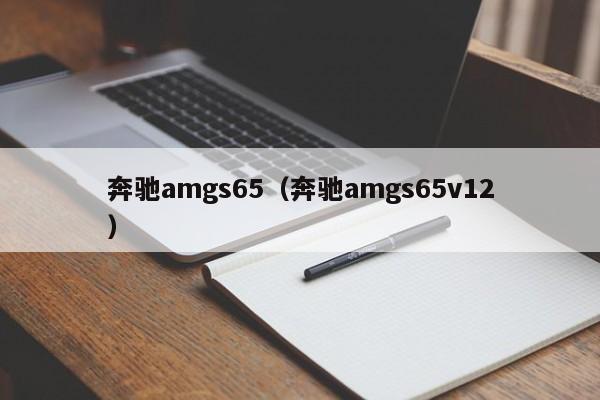 奔驰amgs65（奔驰amgs65v12）