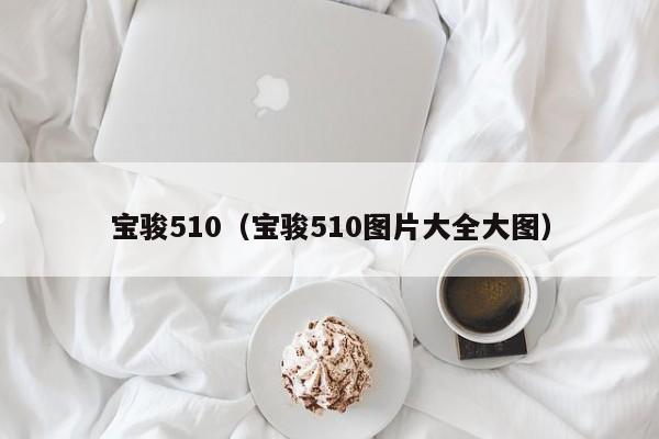 宝骏510（宝骏510图片大全大图）