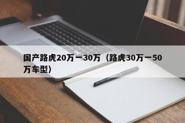 国产路虎20万一30万（路虎30万一50万车型）