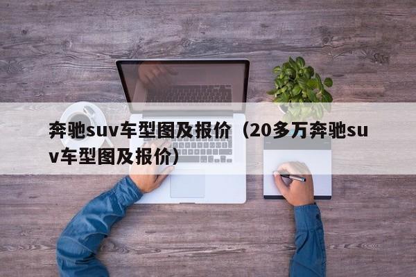 奔驰suv车型图及报价（20多万奔驰suv车型图及报价）