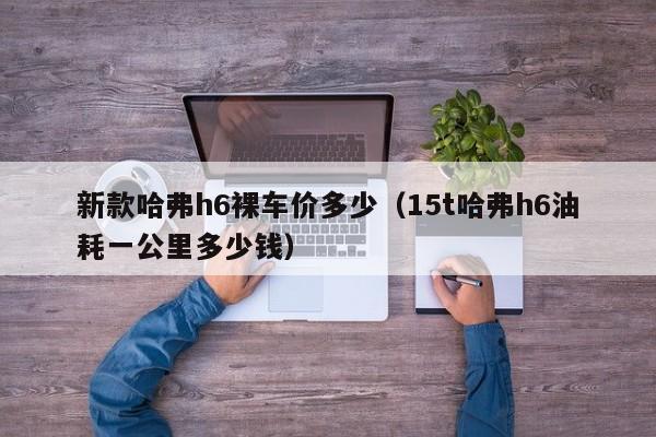 新款哈弗h6裸车价多少（15t哈弗h6油耗一公里多少钱）