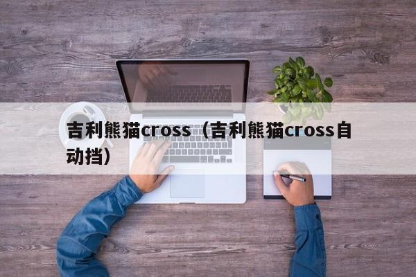 吉利熊猫cross（吉利熊猫cross自动挡）