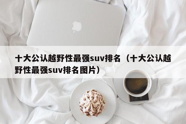 十大公认越野性最强suv排名（十大公认越野性最强suv排名图片）