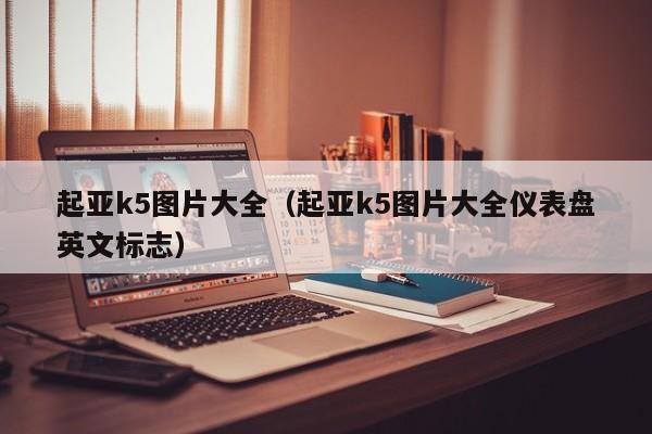 起亚k5图片大全（起亚k5图片大全仪表盘英文标志）