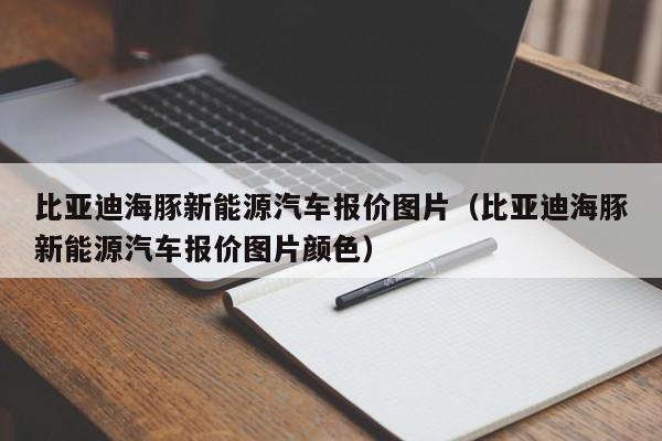 比亚迪海豚新能源汽车报价图片（比亚迪海豚新能源汽车报价图片颜色）