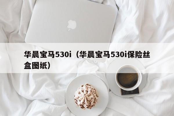 华晨宝马530i（华晨宝马530i保险丝盒图纸）