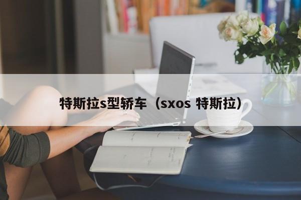 特斯拉s型轿车（sxos 特斯拉）