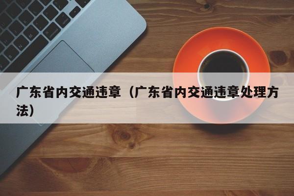 广东省内交通违章（广东省内交通违章处理方法）