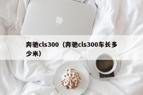 奔驰cls300（奔驰cls300车长多少米）