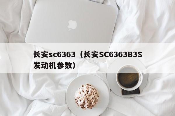 长安sc6363（长安SC6363B3S发动机参数）