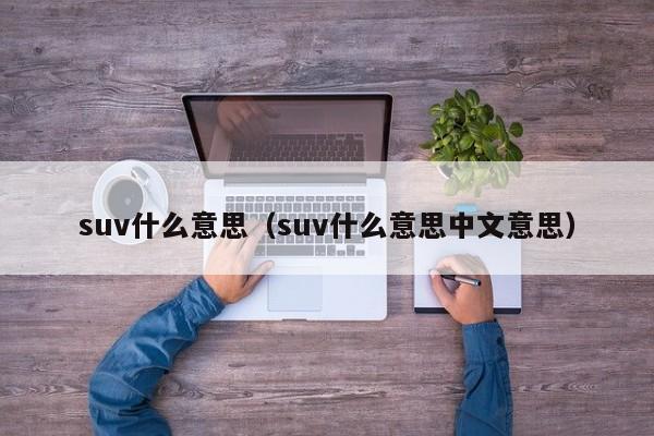 suv什么意思（suv什么意思中文意思）