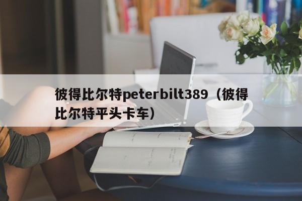 彼得比尔特peterbilt389（彼得比尔特平头卡车）