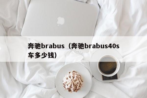 奔驰brabus（奔驰brabus40s车多少钱）